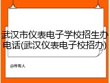 武汉市仪表电子学校招生办电话(武汉仪表电子校招办)