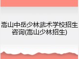 嵩山中岳少林武术学校招生咨询(嵩山少林招生)