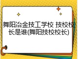 舞阳冶金技工学校 技校校长是谁(舞阳技校校长)