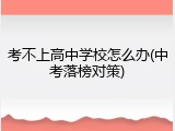 考不上高中学校怎么办(中考落榜对策)