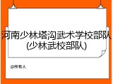 河南少林塔沟武术学校部队(少林武校部队)