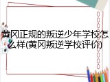 黄冈正规的叛逆少年学校怎么样(黄冈叛逆学校评价)
