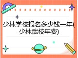 少林学校报名多少钱一年(少林武校年费)