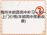 梅州丰顺县高中补习一对一上门价格(丰顺高中家教收费)