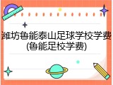 潍坊鲁能泰山足球学校学费(鲁能足校学费)