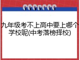 九年级考不上高中要上哪个学校呢(中考落榜择校)