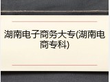 湖南电子商务大专(湖南电商专科)