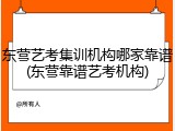 东营艺考集训机构哪家靠谱(东营靠谱艺考机构)