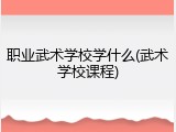 职业武术学校学什么(武术学校课程)