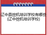 辽中县挖机培训学校有哪些(辽中挖机培训学校)