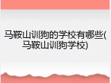 马鞍山训狗的学校有哪些(马鞍山训狗学校)