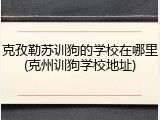 克孜勒苏训狗的学校在哪里(克州训狗学校地址)