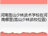 河南嵩山少林武术学校在河南哪里(嵩山少林武校位置)