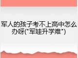 军人的孩子考不上高中怎么办呀("军娃升学难")