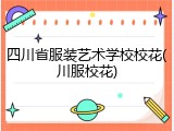 四川省服装艺术学校校花(川服校花)
