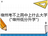 宿州考不上高中上什么大学("宿州低分升学")