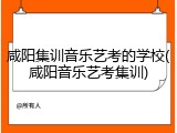 咸阳集训音乐艺考的学校(咸阳音乐艺考集训)