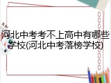 河北中考考不上高中有哪些学校(河北中考落榜学校)