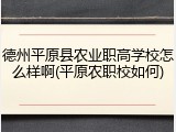 德州平原县农业职高学校怎么样啊(平原农职校如何)