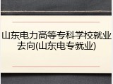 山东电力高等专科学校就业去向(山东电专就业)