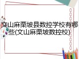 文山麻栗坡县数控学校有哪些(文山麻栗坡数控校)