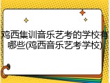 鸡西集训音乐艺考的学校有哪些(鸡西音乐艺考学校)