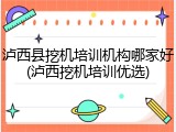 泸西县挖机培训机构哪家好(泸西挖机培训优选)