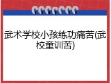 武术学校小孩练功痛苦(武校童训苦)