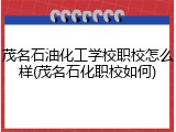 茂名石油化工学校职校怎么样(茂名石化职校如何)