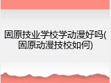 固原技业学校学动漫好吗(固原动漫技校如何)