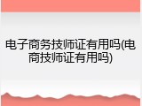 电子商务技师证有用吗(电商技师证有用吗)