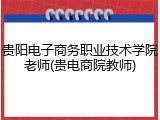 贵阳电子商务职业技术学院老师(贵电商院教师)
