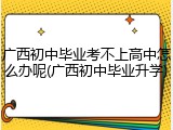 广西初中毕业考不上高中怎么办呢(广西初中毕业升学)