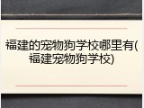 福建的宠物狗学校哪里有(福建宠物狗学校)