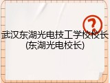 武汉东湖光电技工学校校长(东湖光电校长)