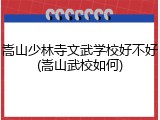嵩山少林寺文武学校好不好(嵩山武校如何)