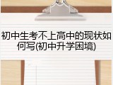初中生考不上高中的现状如何写(初中升学困境)