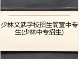 少林文武学校招生简章中专生(少林中专招生)