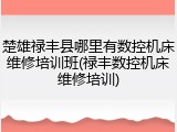 楚雄禄丰县哪里有数控机床维修培训班(禄丰数控机床维修培训)