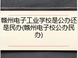 赣州电子工业学校是公办还是民办(赣州电子校公办民办)