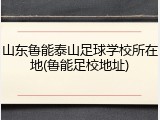 山东鲁能泰山足球学校所在地(鲁能足校地址)