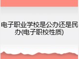 电子职业学校是公办还是民办(电子职校性质)