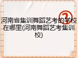 河南省集训舞蹈艺考的学校在哪里(河南舞蹈艺考集训校)