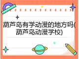 葫芦岛有学动漫的地方吗(葫芦岛动漫学校)