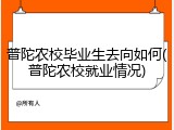 普陀农校毕业生去向如何(普陀农校就业情况)
