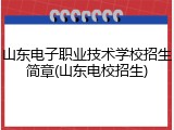 山东电子职业技术学校招生简章(山东电校招生)