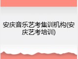 安庆音乐艺考集训机构(安庆艺考培训)