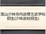 嵩山少林寺内武僧文武学校招生(少林武校招生)