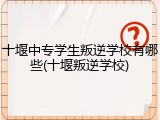 十堰中专学生叛逆学校有哪些(十堰叛逆学校)