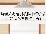 盐城艺考培训机构排行榜前十(盐城艺考机构十强)
